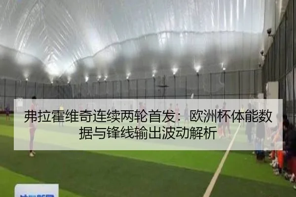 弗拉霍维奇连续两轮首发：欧洲杯体能数据与锋线输出波动解析