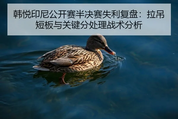 韩悦印尼公开赛半决赛失利复盘：拉吊短板与关键分处理战术分析